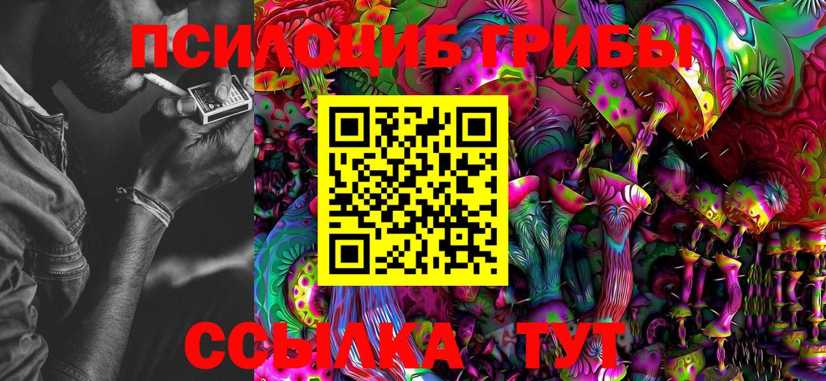 Галлюциногенные грибы Psilocybe Грязи