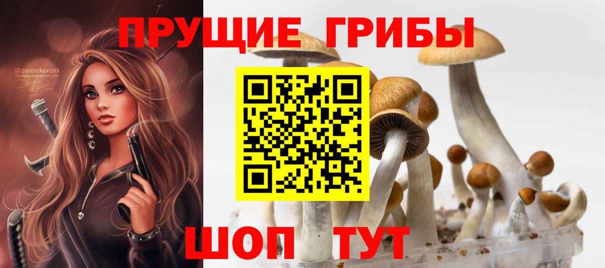 Псилоцибиновые грибы Cubensis  Вход с VPN  Галлюциногенные грибы Psilocybe  наркота  Грязи 